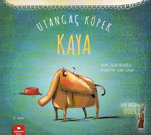 Utangaç Köpek Kaya