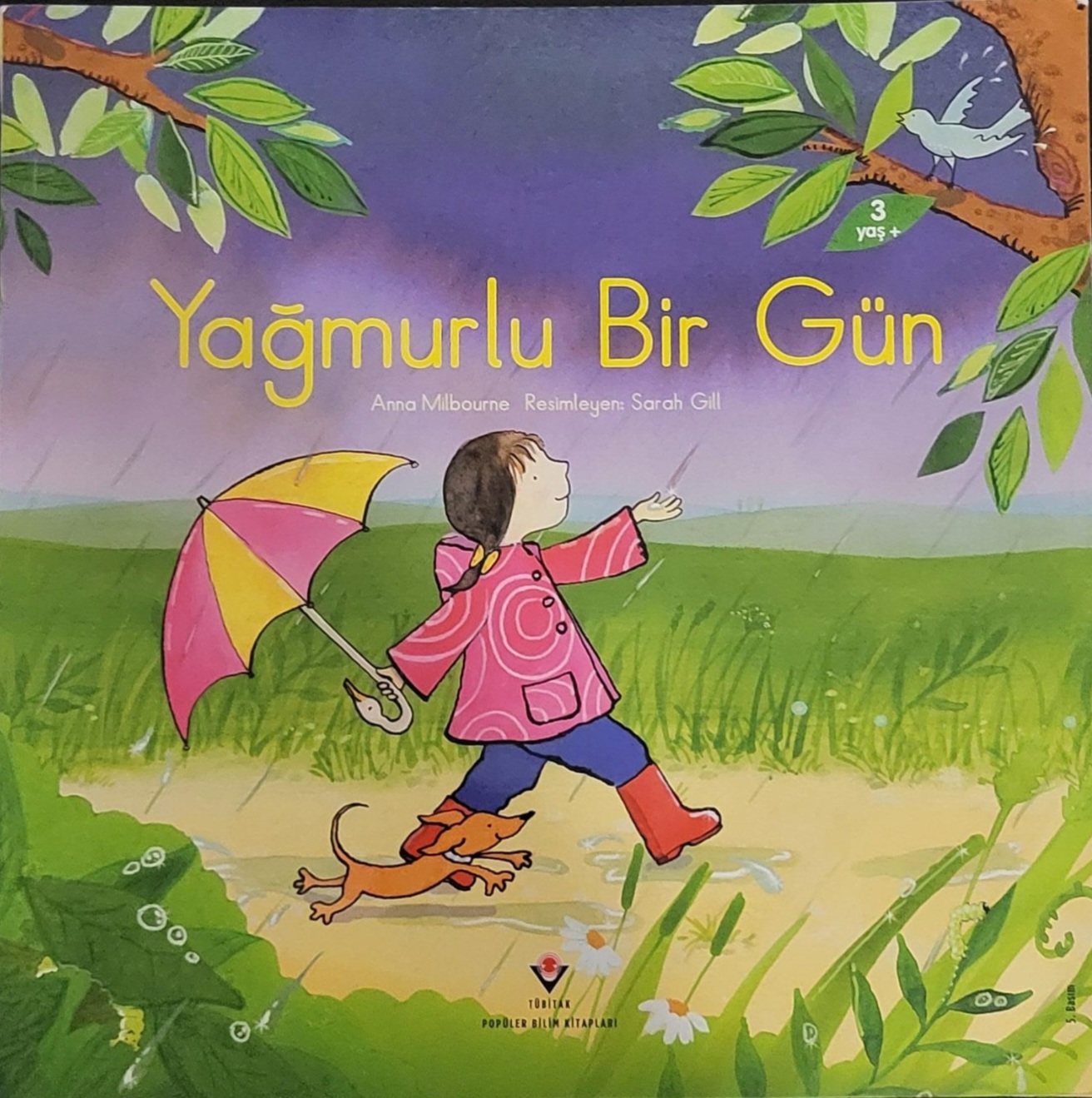 Yağmurlu Bir Gün